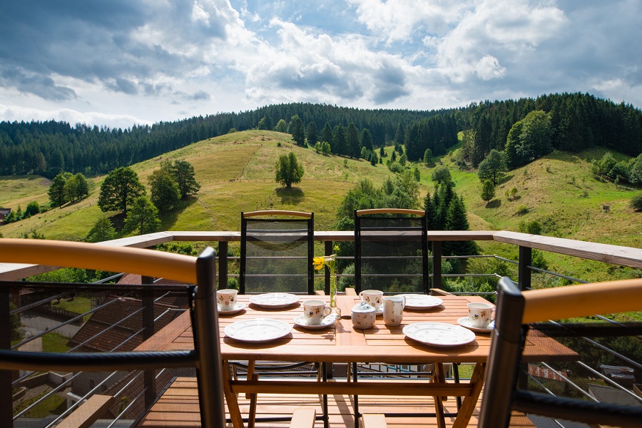 Stelzenhaus "Glashaus" - Harzer Baumhäuser, Ferienwohnungen und Blockhaus